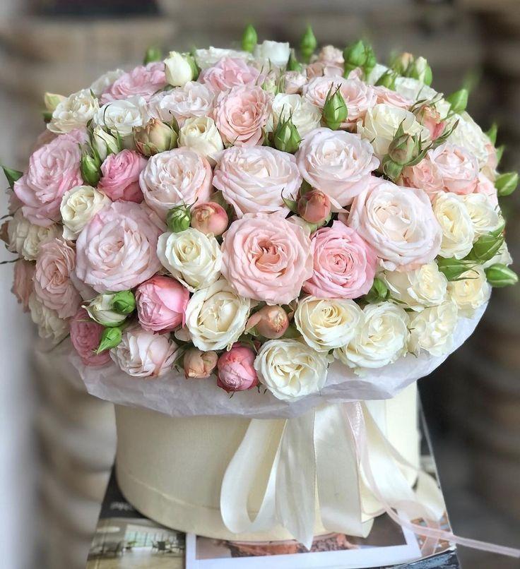 Serenity's Breath Pastel Posies